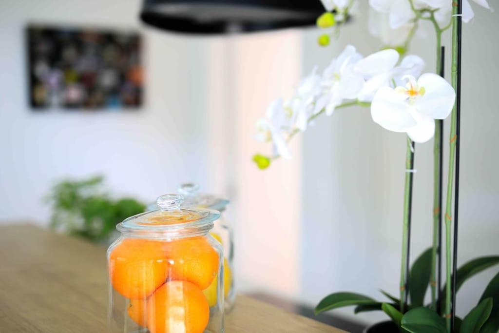 Apartman Anna Zadar Exteriér fotografie